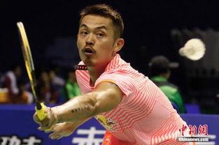 奥运冠军林丹个人资料,羽毛球传奇，荣耀与挑战并存